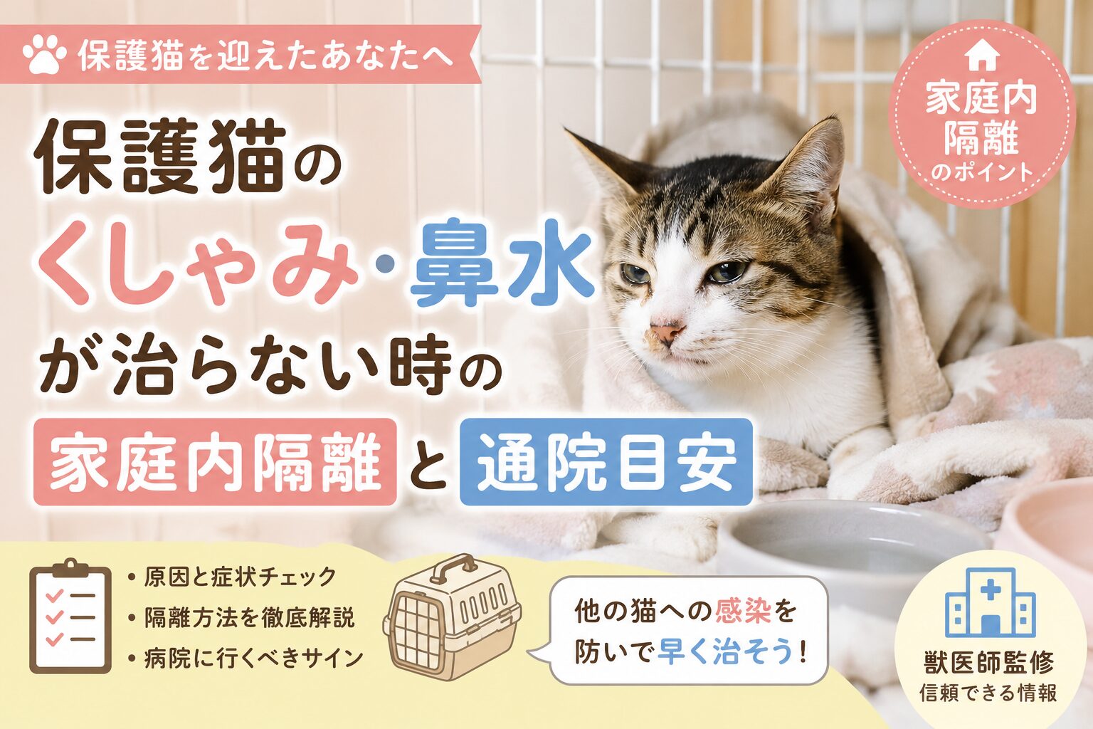 保護猫のくしゃみ・鼻水が治らない時