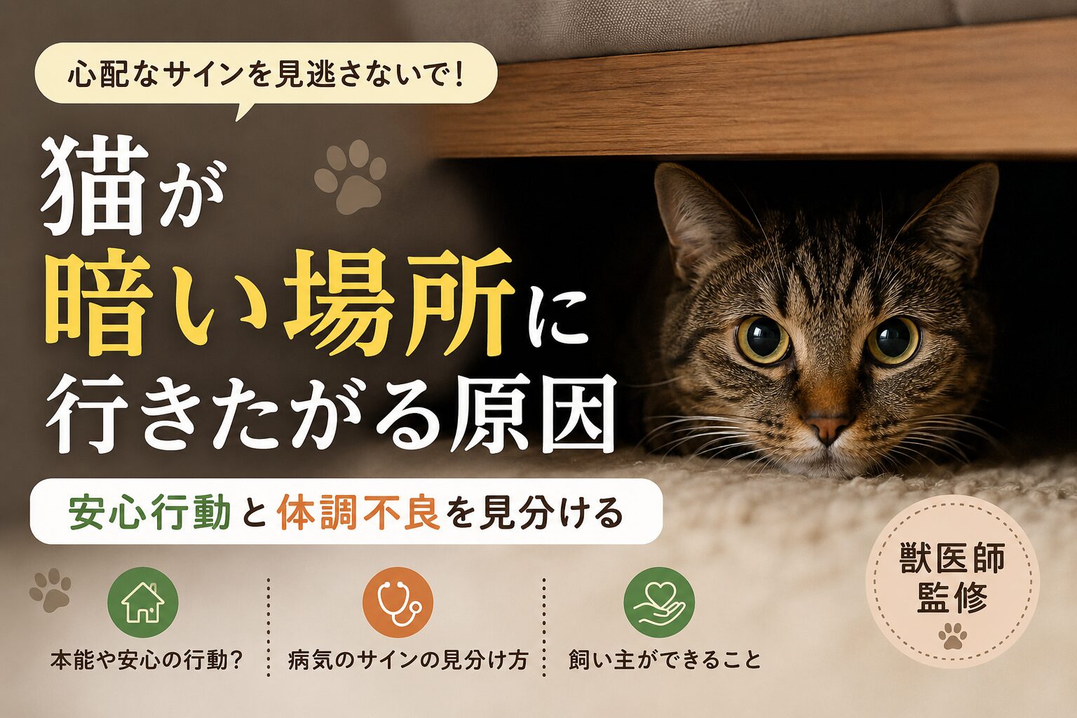 猫が暗い場所に行きたがる原因