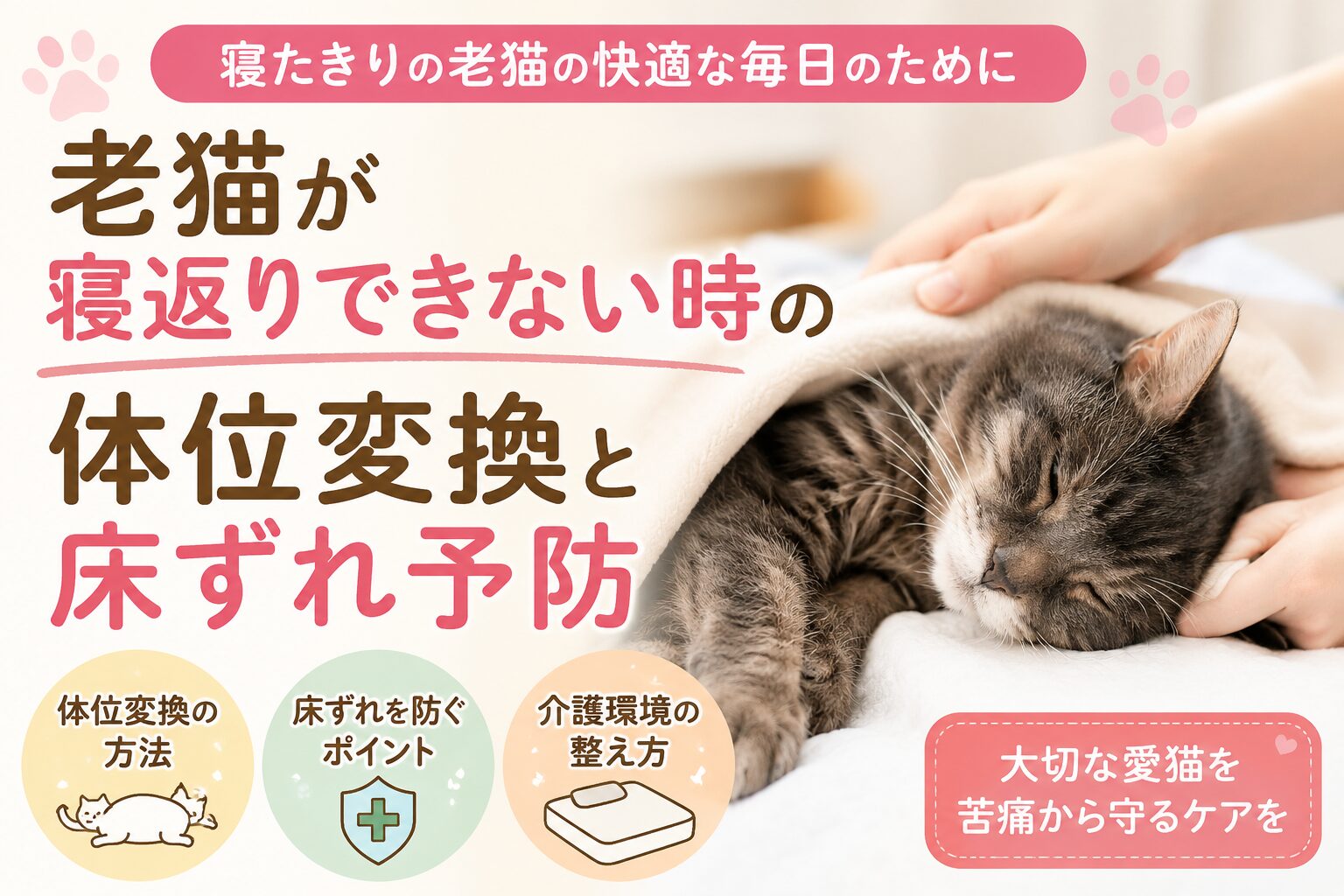 老猫が寝返りできない時の体位変換と床ずれ予防