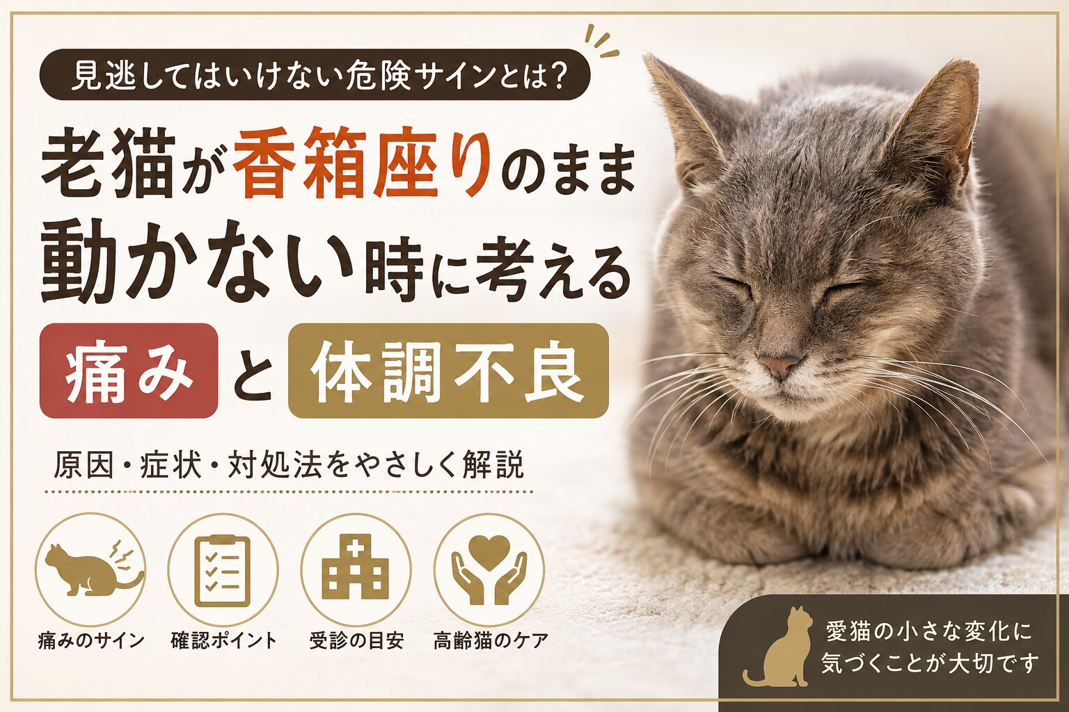 老猫が香箱座りのまま動かないのは危険信号