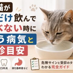 老猫が水だけ飲んで食べない時に疑う病気と受診目安｜獣医師が教える症状別チェックリスト付き