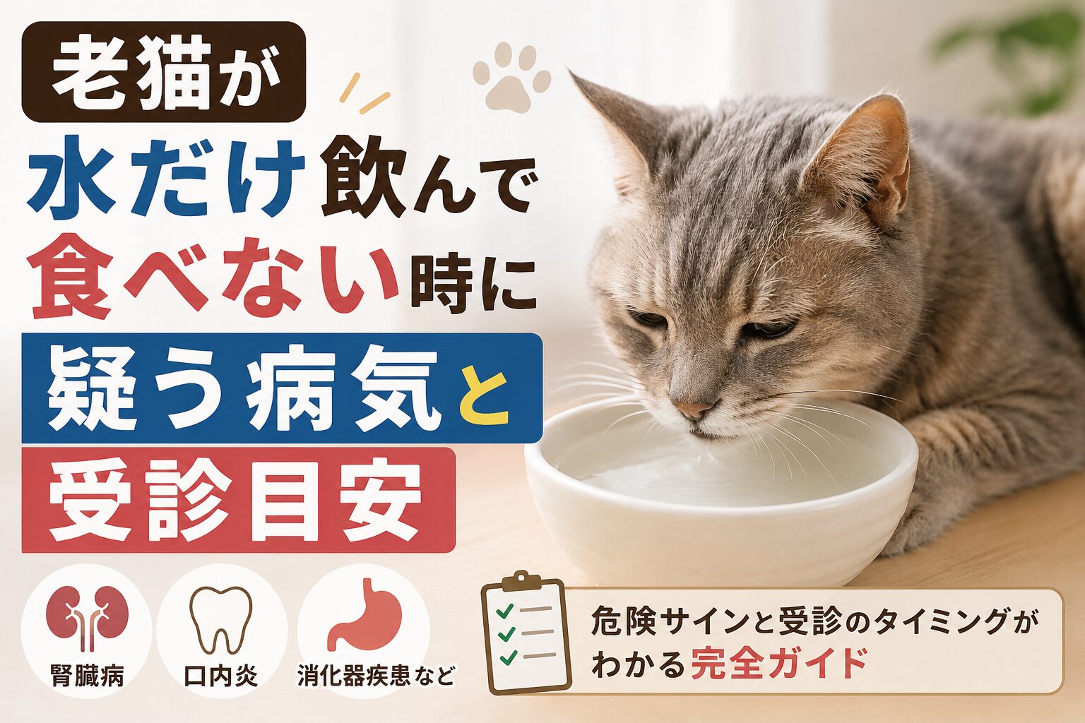 老猫が水だけ飲んで食べない時に疑う病気と受診目安