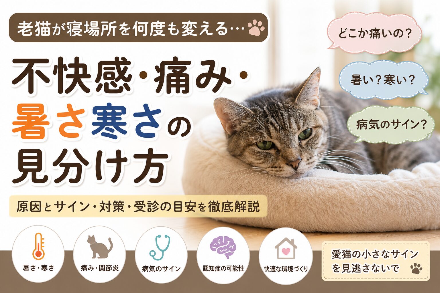 老猫が寝場所を何度も変えるのはなぜ