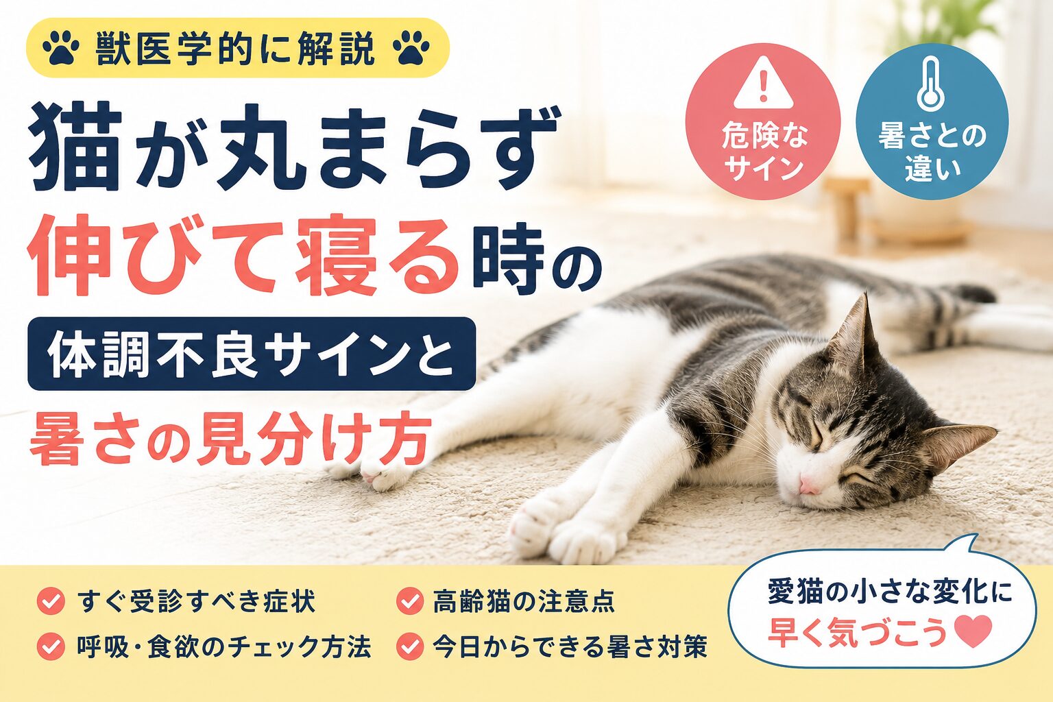 猫が丸まらず伸びて寝るのはなぜ?