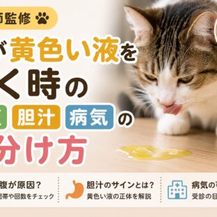 猫が黄色い液を吐く原因とは？空腹・胆汁・病気の見分け方を獣医療情報から徹底解説