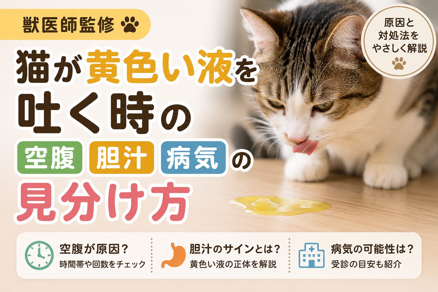 猫が黄色い液を吐く原因