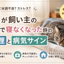 猫が飼い主の近くで寝なくなった時の心理と病気サイン｜急な変化は体調不良の可能性も
