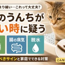 猫のうんちが細い時に疑うべき原因とは?便秘・腸の病気・脱水のサインを徹底解説