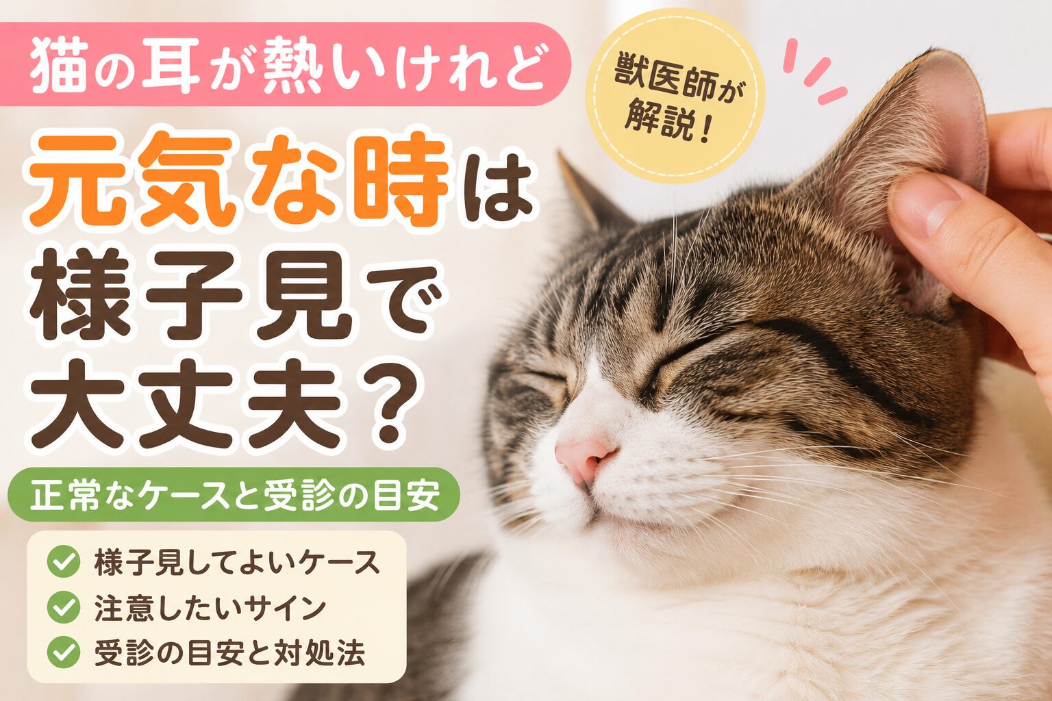 猫の耳が熱いけれど元気なときは様子見していい？