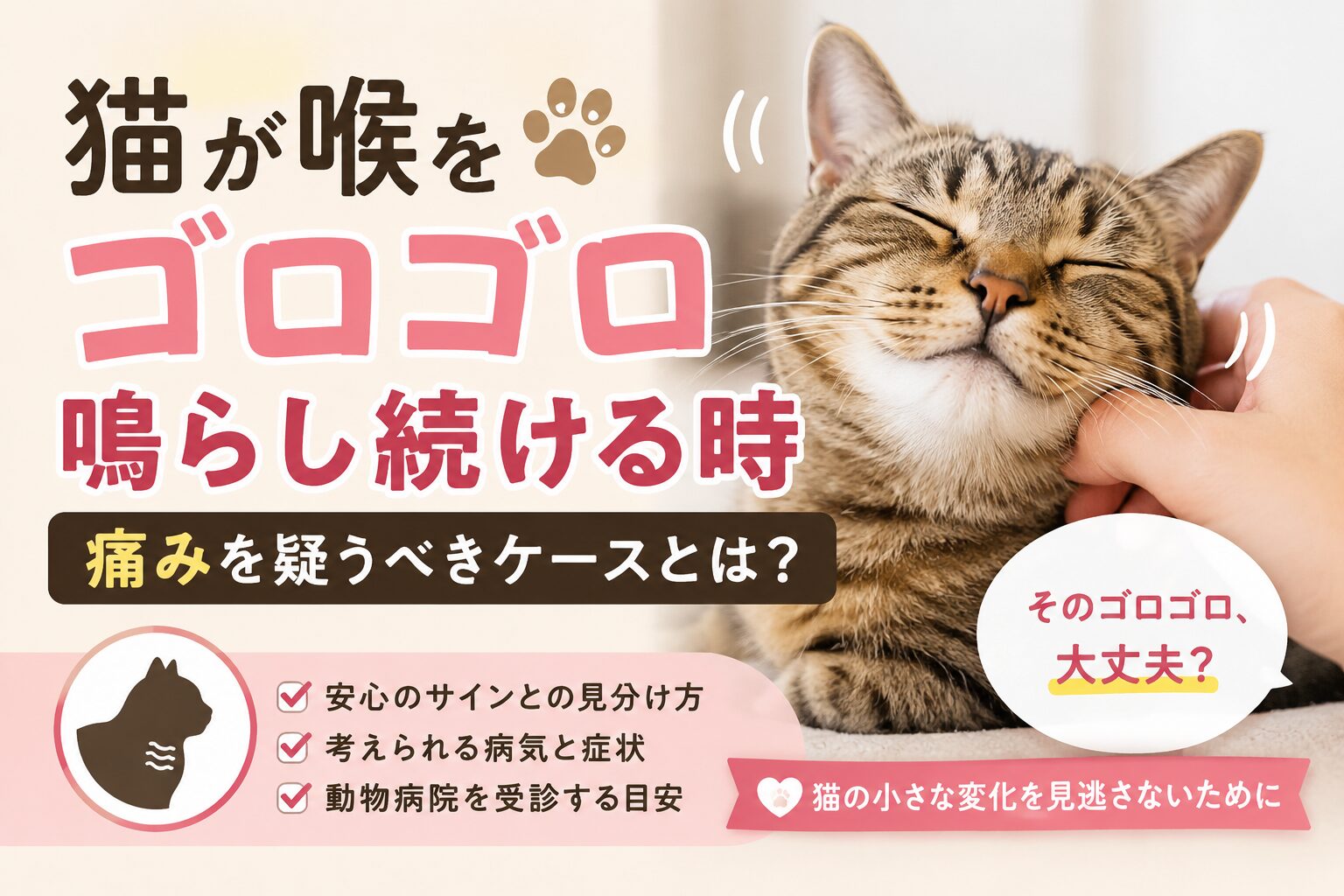 猫がゴロゴロ鳴らし続ける時に痛みを疑うべきケース