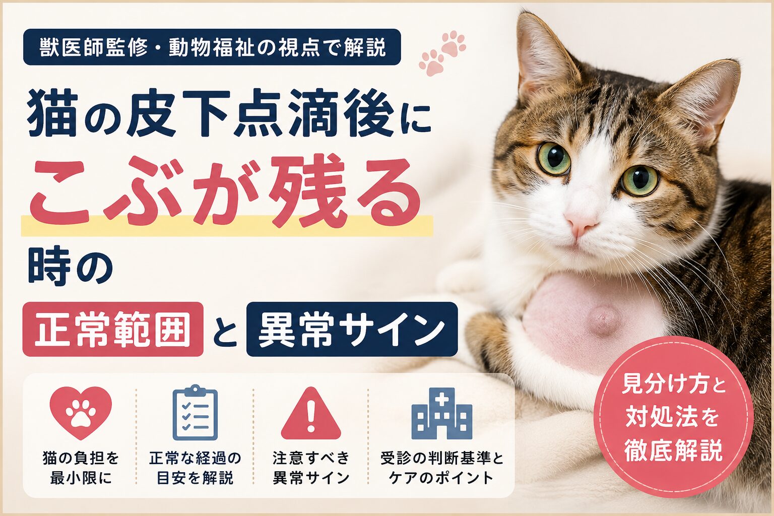 猫の皮下点滴後にこぶが残るのはなぜ