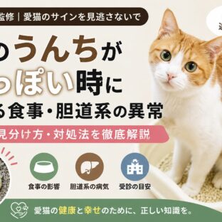 猫のうんちが白っぽい原因とは?食事と胆道系トラブルの見分け方を専門家が解説