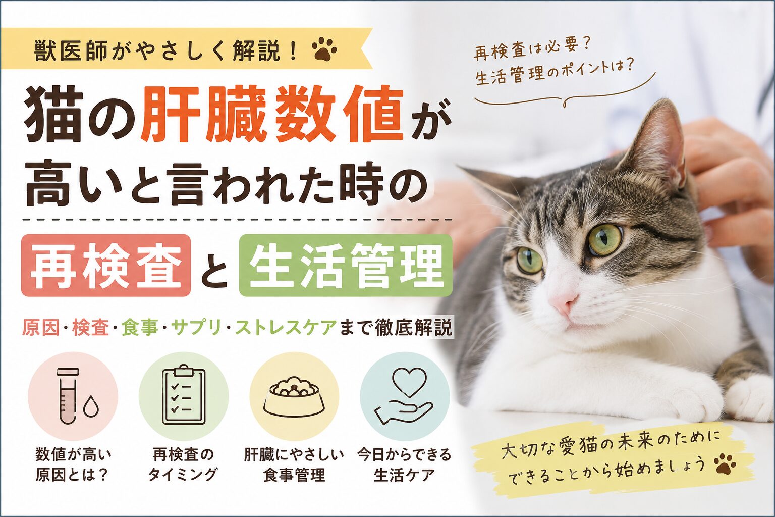 猫の肝臓数値が高いと言われたら