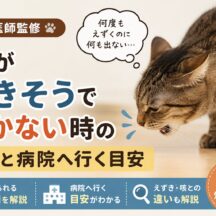 猫が吐きそうで吐かないのはなぜ？原因と病院へ行く目安を徹底解説