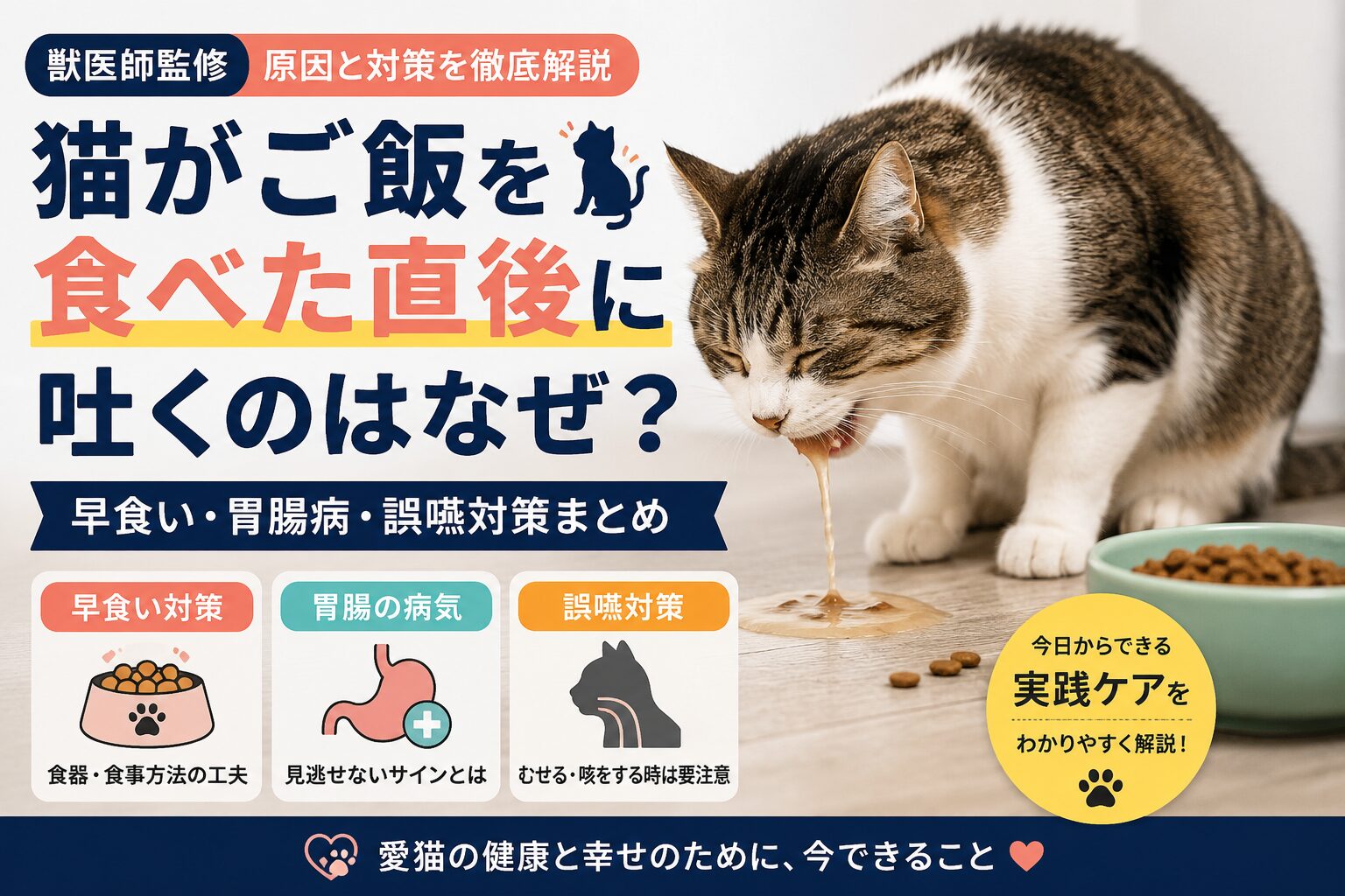 猫がご飯を食べた直後に吐く原因
