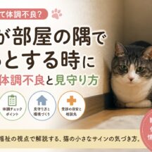 猫が部屋の隅でじっとする時に考える体調不良と見守り方｜病気・痛み・ストレスの見分け方
