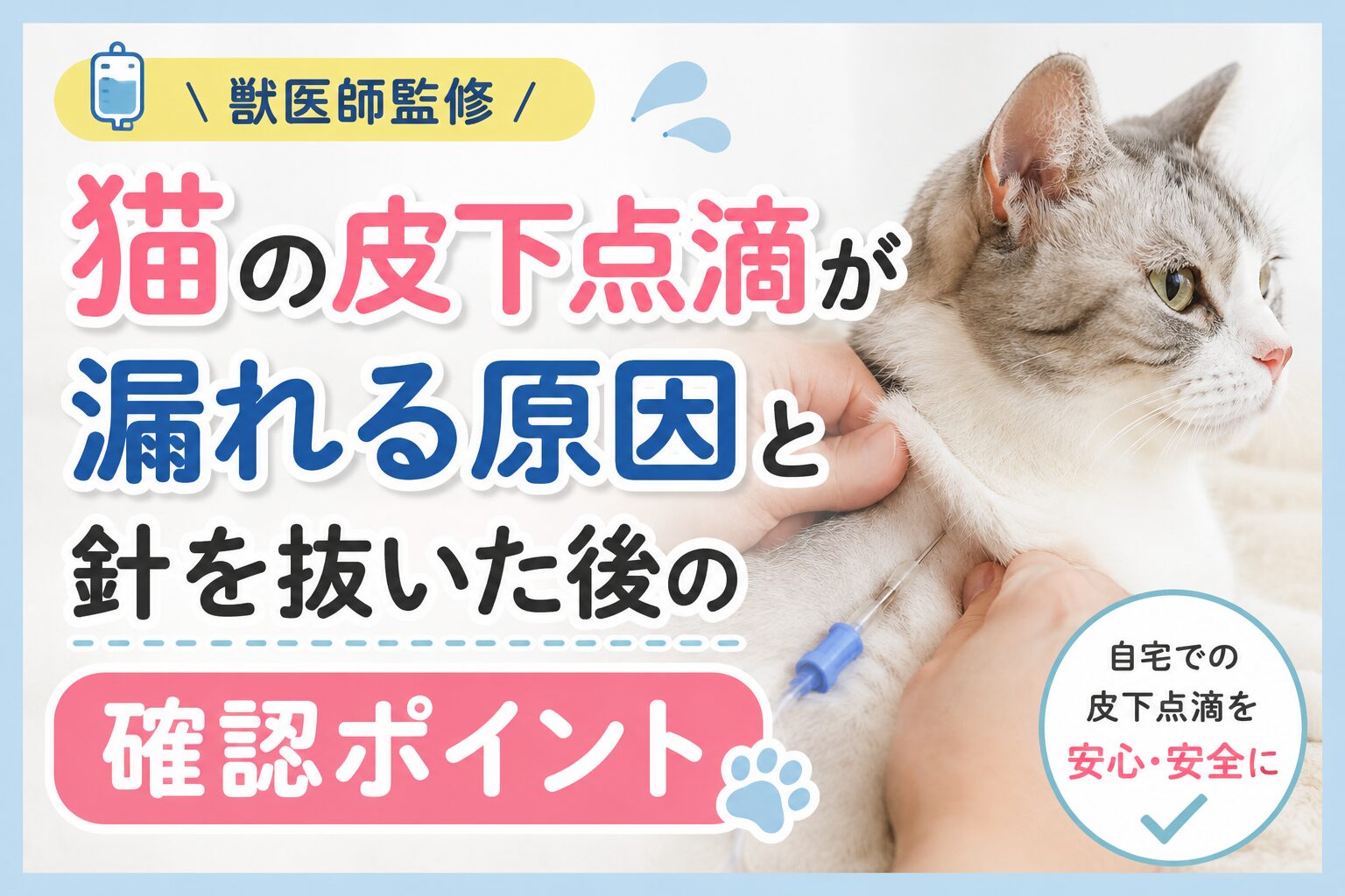 猫の皮下点滴が漏れる原因