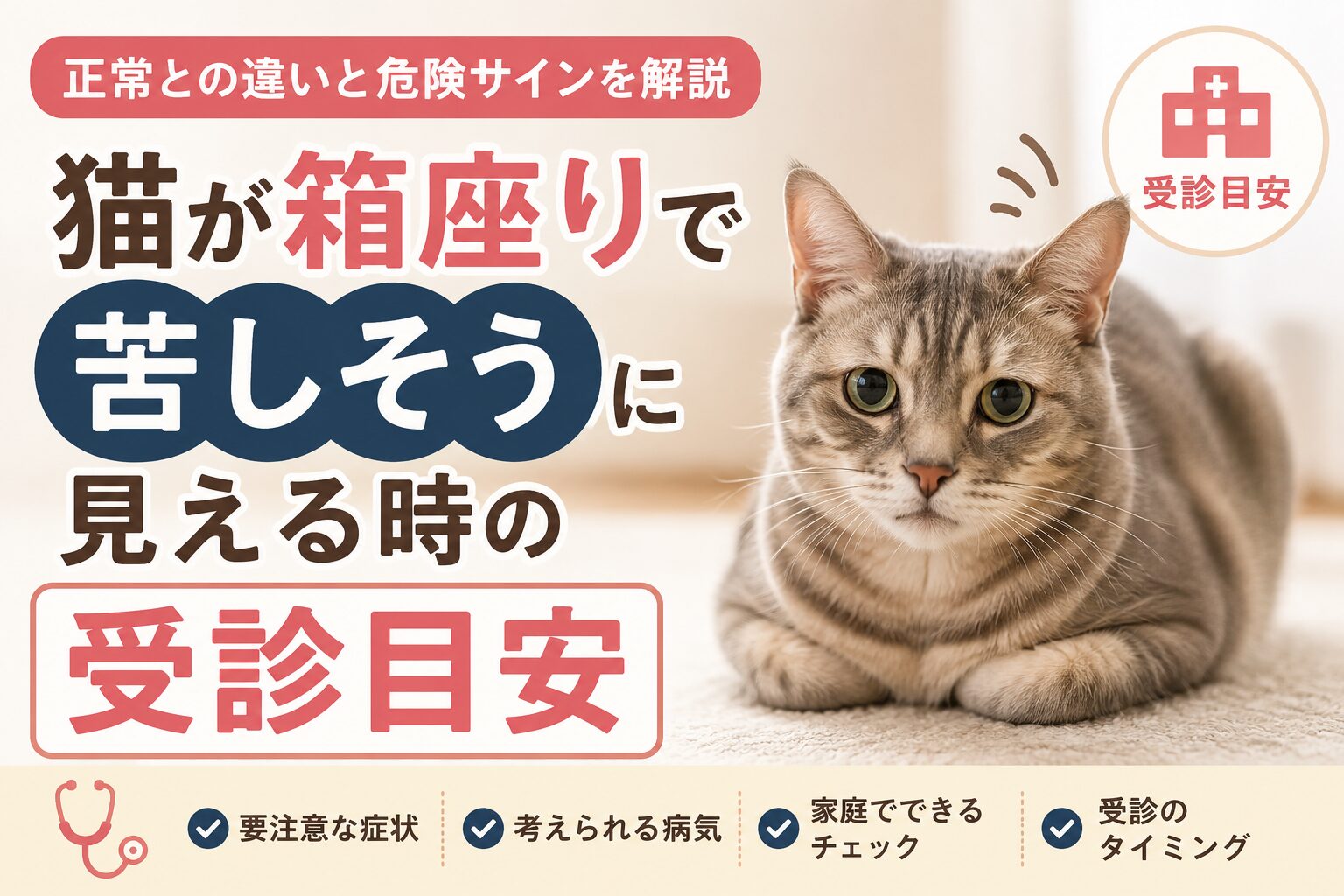 猫が箱座りで苦しそうに見える時の受診目安