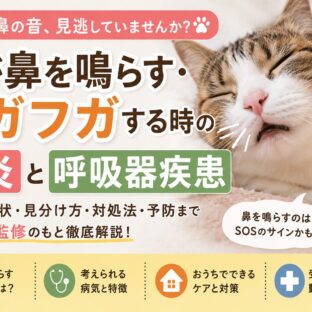猫が鼻を鳴らす・フガフガする原因とは？鼻炎・呼吸器疾患のサインを獣医療データから解説