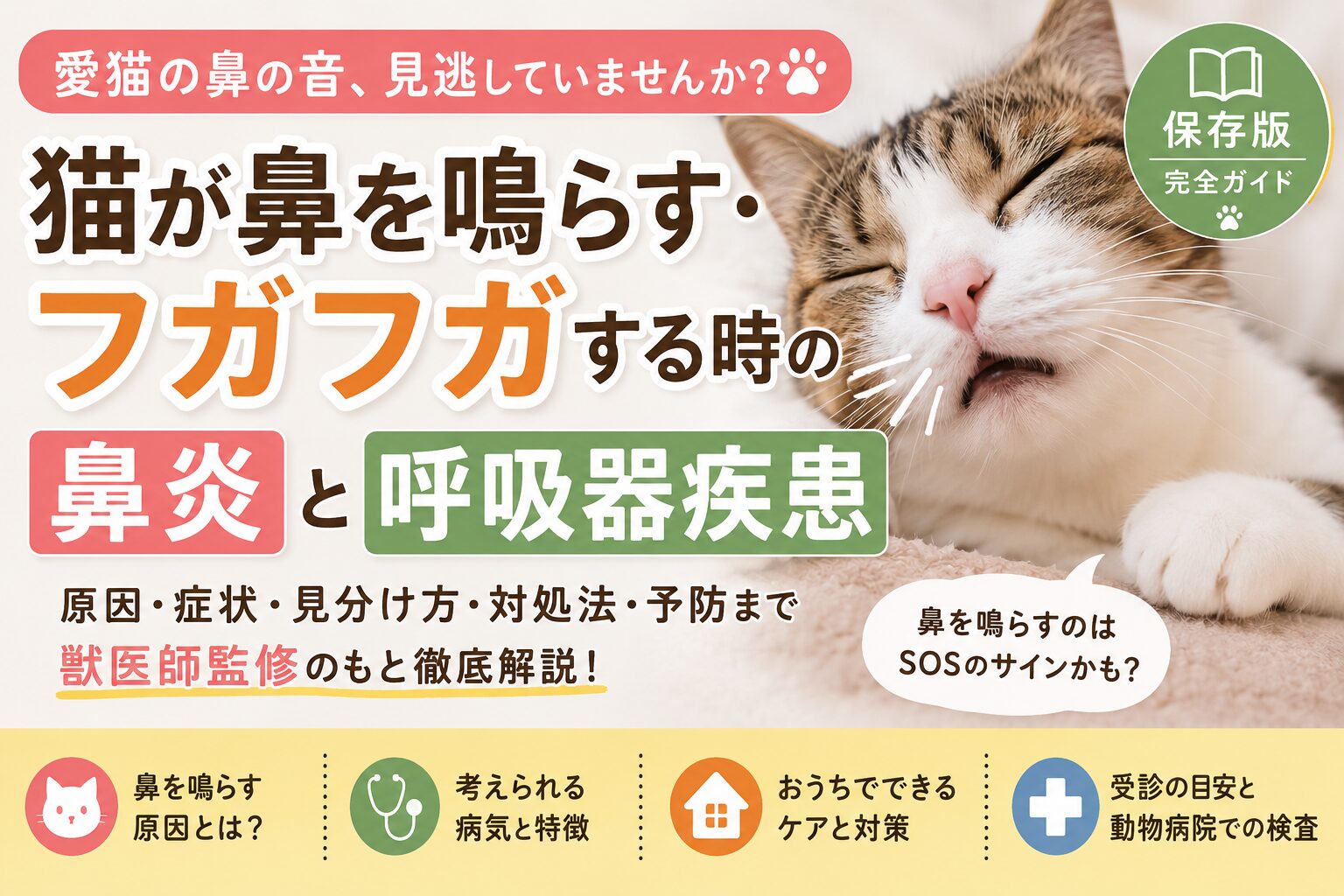 猫が鼻を鳴らす・フガフガする原因とは