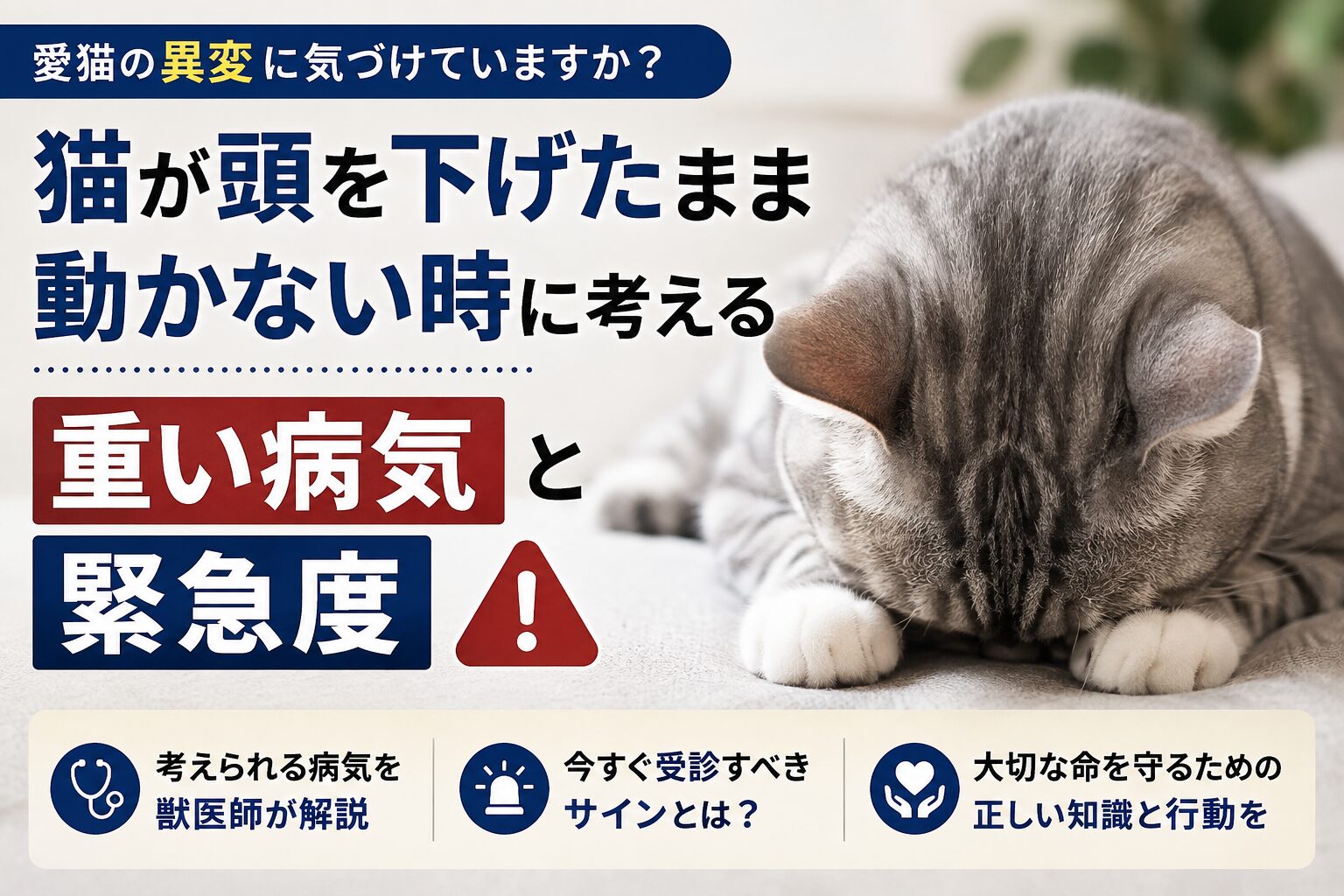 猫が頭を下げたまま動かない時に考える重い病気