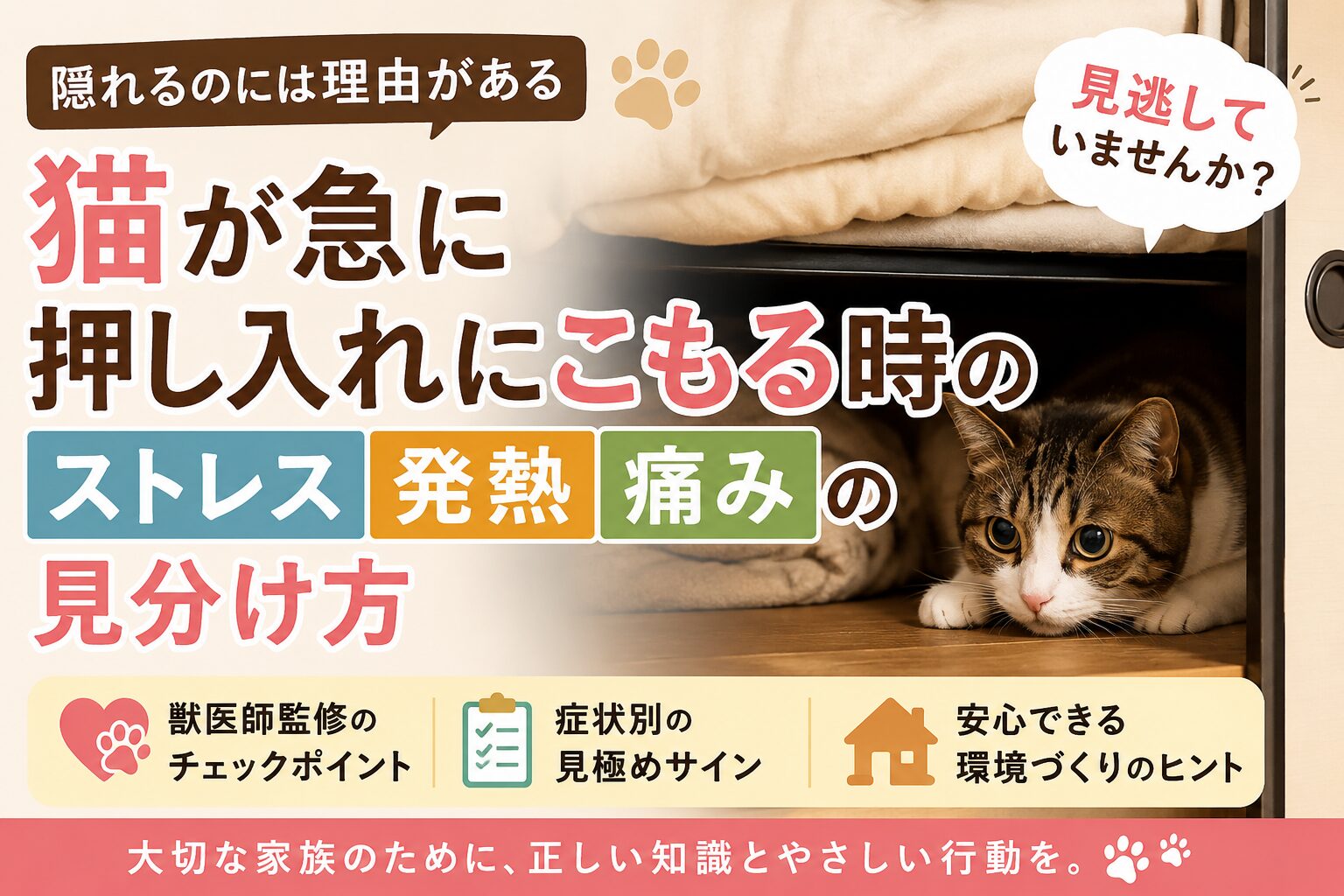 猫が急に押し入れにこもるのはなぜ?